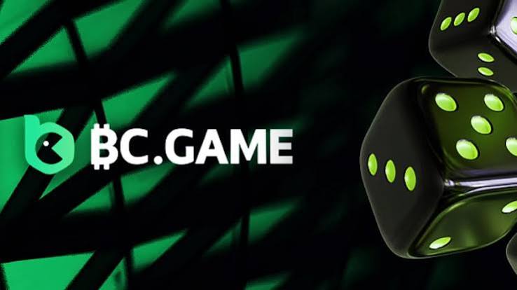Exploring the BC.Game Mirror Mobile App A New Era in Gaming Experience